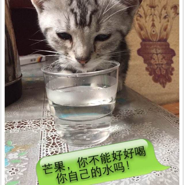 建设工程竣工验收备案表怎么办